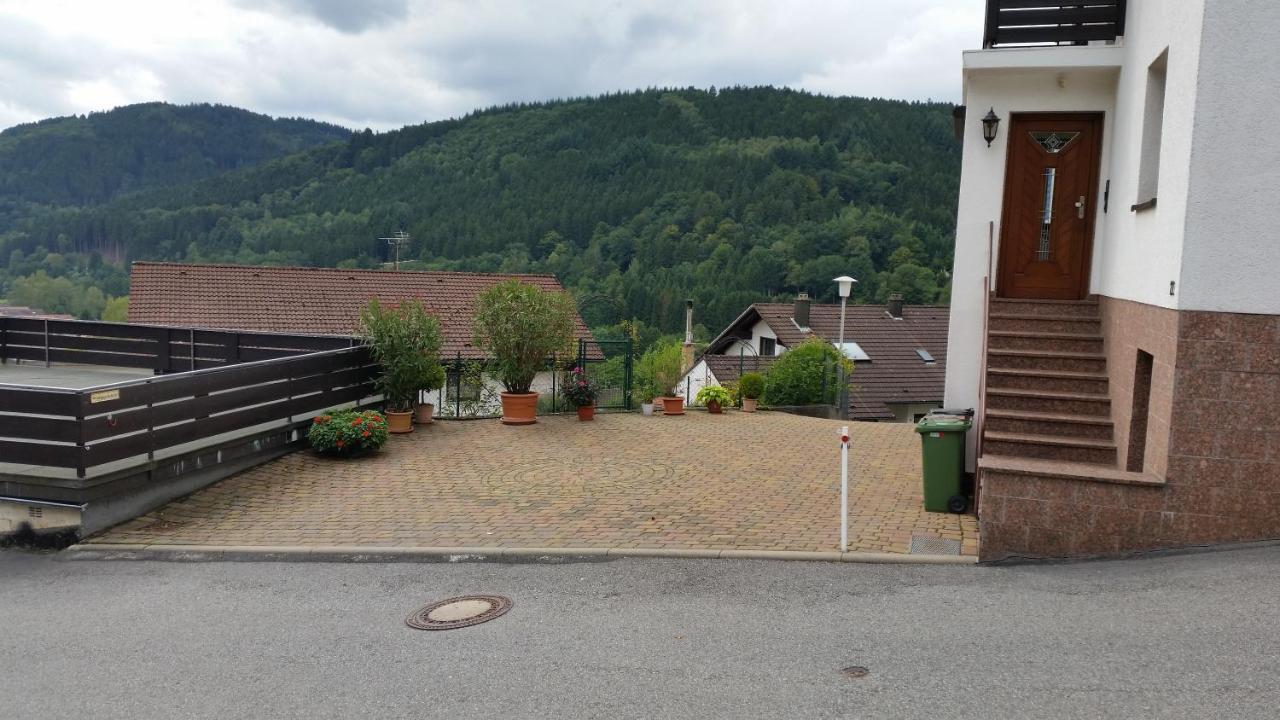 Ferienhaus Korsikablick Unter Schönmattenwag Екстериор снимка